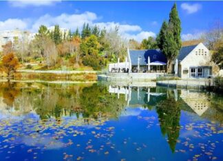 .’Tu Bishvat’ nueva actividad en línea desde el Jardin botánico de Jerusalén