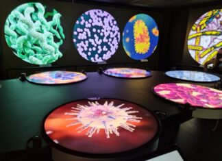 Technoda: Se abrio en Israel el primer museo del cuerpo humano