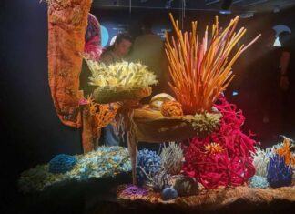 .“El Canto de los Corales” nueva exposición- Viaje Científico-Artístico que se presenta en el Museo de la Naturaleza Steinhardt, de la Universidad de Tel Aviv